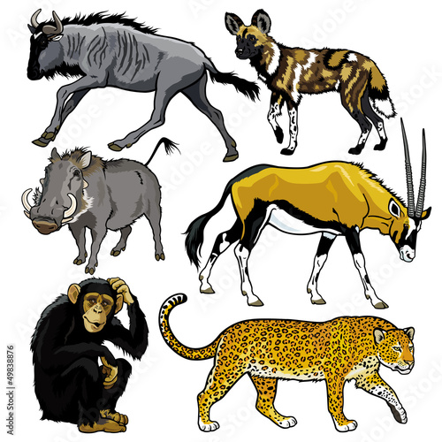 set with animals of africa