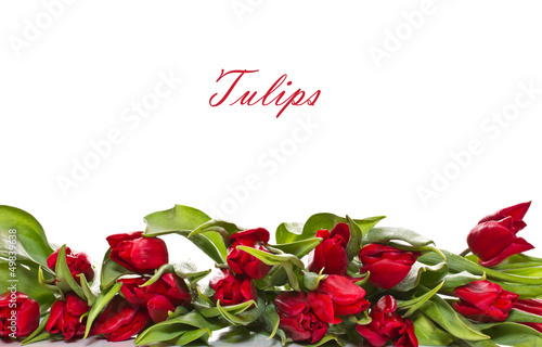 Fototapeta Naklejka Na Ścianę i Meble -  red tulips