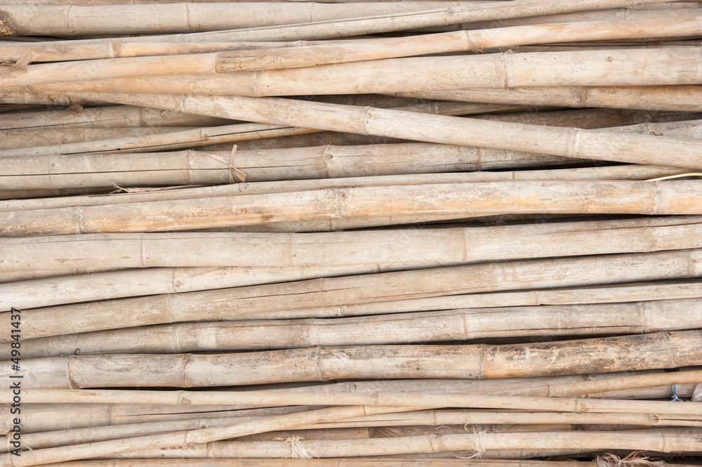 Bamboo Bamboo