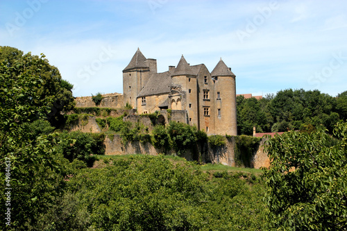 Château de Salignac-Eyvigues. (Dordogne) photo