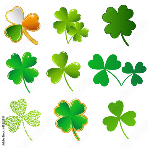 vector shamrock collection