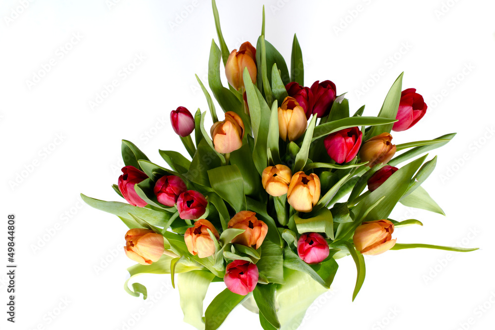 Bouquet of tulips on white - horizontal Bouquet of tulips on white - horizontal