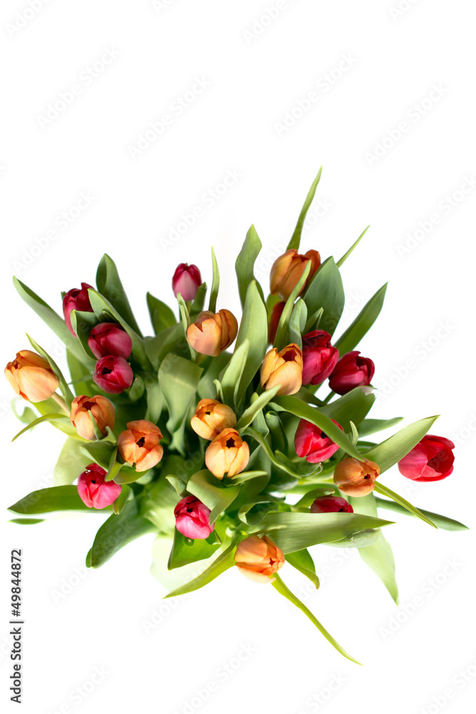 Bouquet of tulips on white - vertical