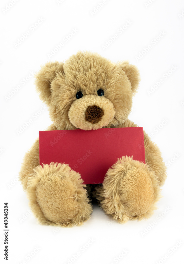 Teddy holding a blank red card. Teddy holding a blank red card.
