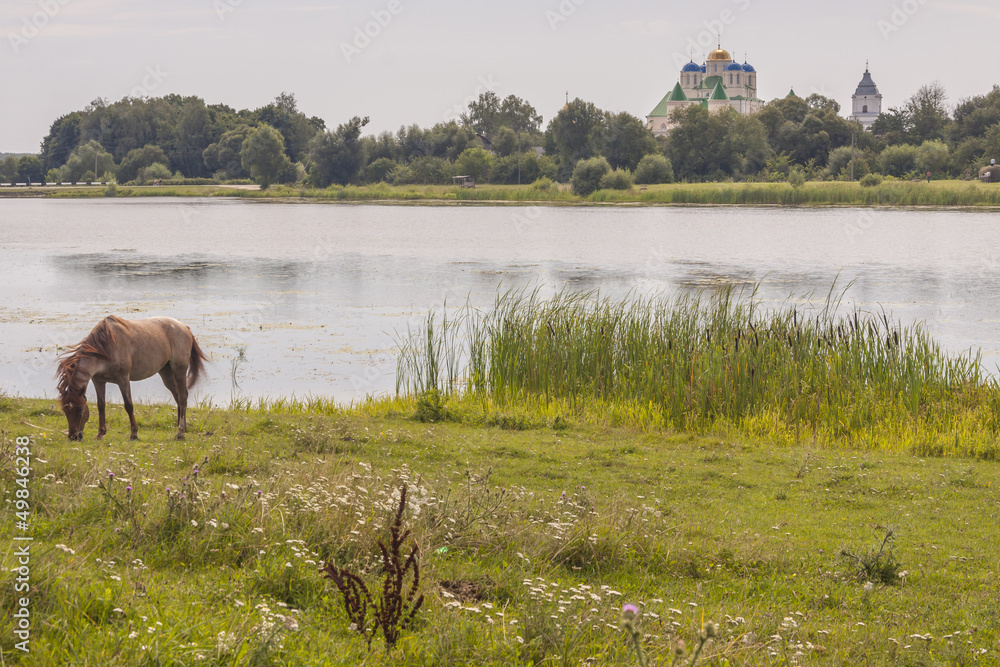 Brown horse on coast of lake - Ostroh, Ukraine. Brown horse on coast of lake - Ostroh, Ukraine.