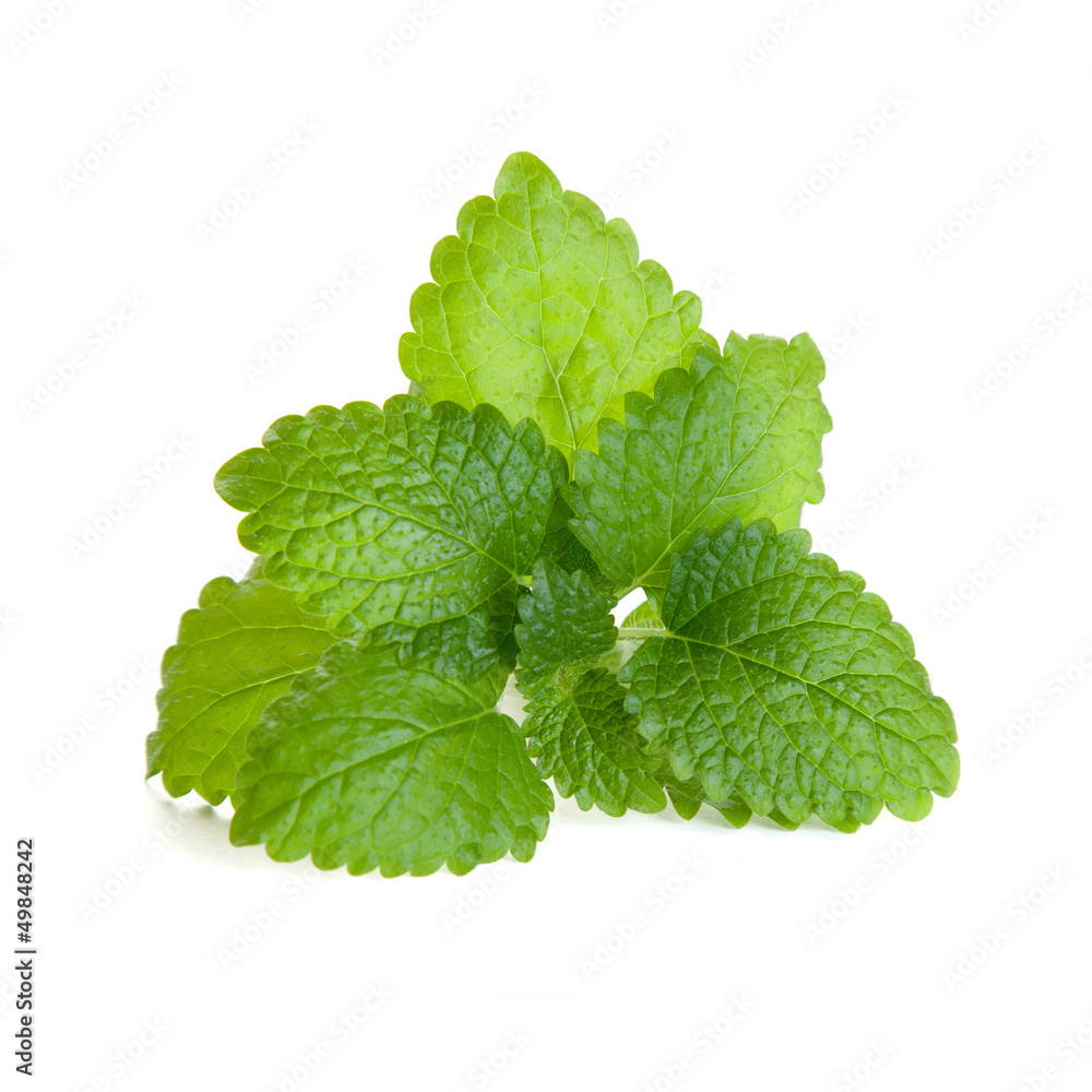 Melisse Freisteller IV Stock Photo Adobe Stock