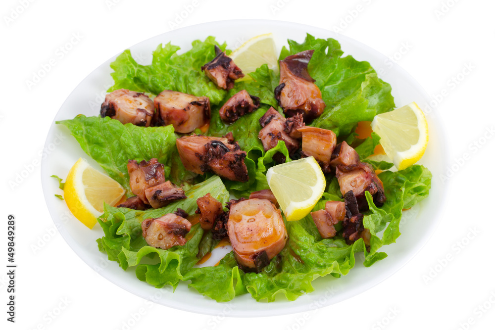 seafood salad on the plate on white background seafood salad on the plate on white background