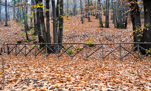 Wallpaper Mural Etna - beautiful autumn landscape Torontodigital.ca