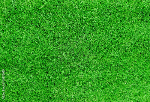 Grass field