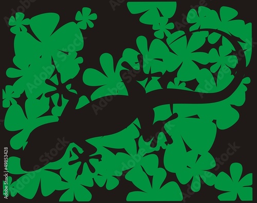 Salamandra_4