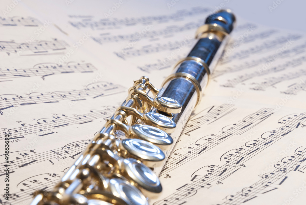Obraz premium Flute instrument on the notes