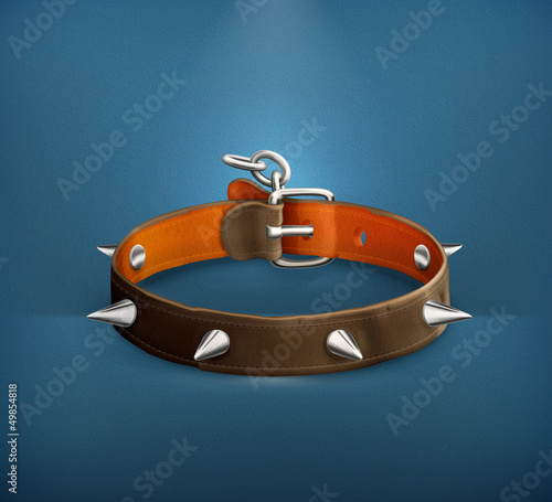 Dog collar