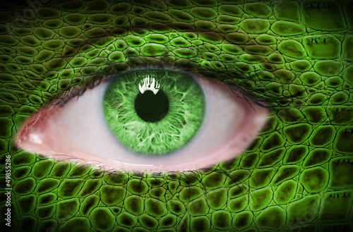 Green eye with lizard pattern