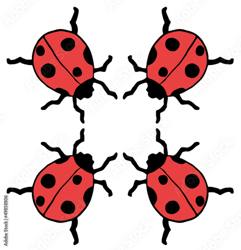 Photos Four ladybug