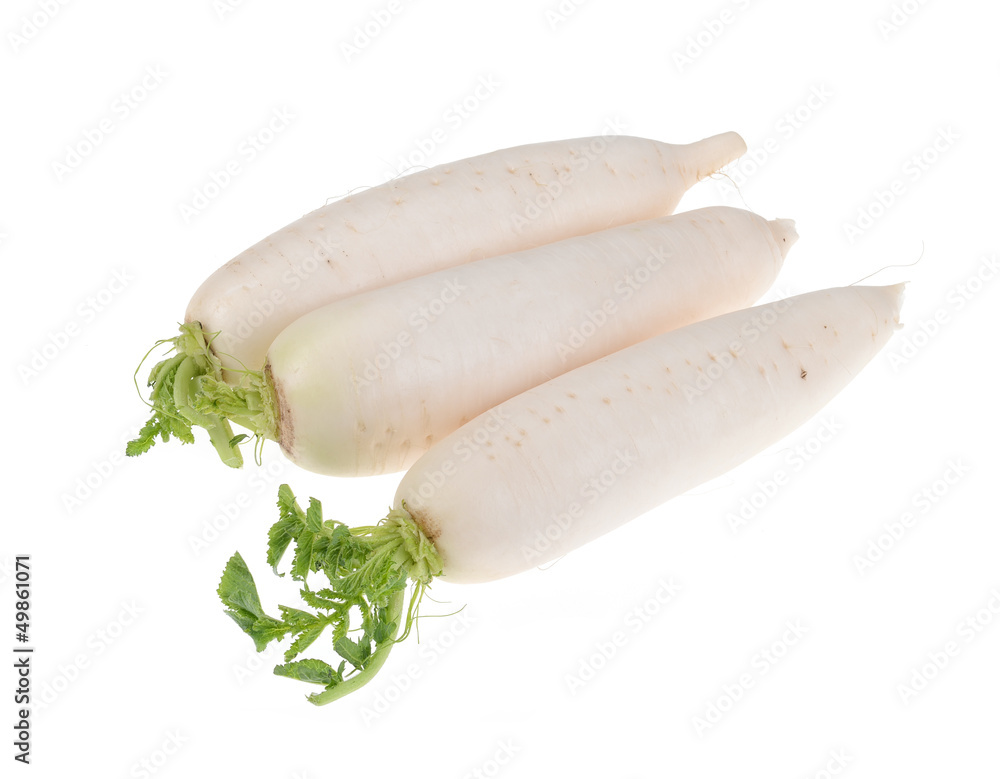 Daikon radishes isolated on white background Daikon radishes isolated on white background