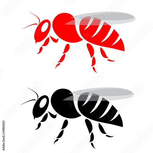 Vector image of an beel on white background