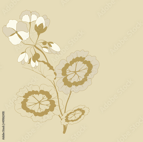 Fototapeta Naklejka Na Ścianę i Meble -  background with flowering branches Pelargonium