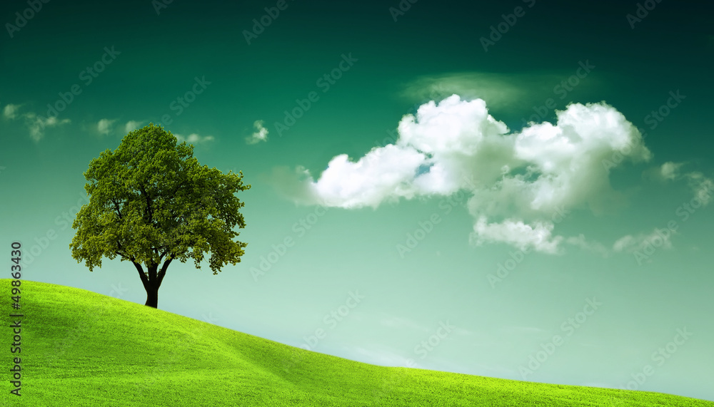 The power of the natural environment The power of the natural environment