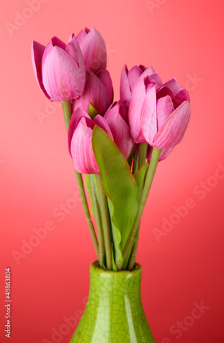Fototapeta Naklejka Na Ścianę i Meble -  Beautiful bouquet of pink tulips in vase, on red background