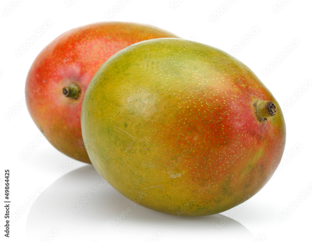 Two mango Two mango