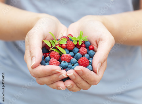 hands holding fresh berries © Olga Miltsova
