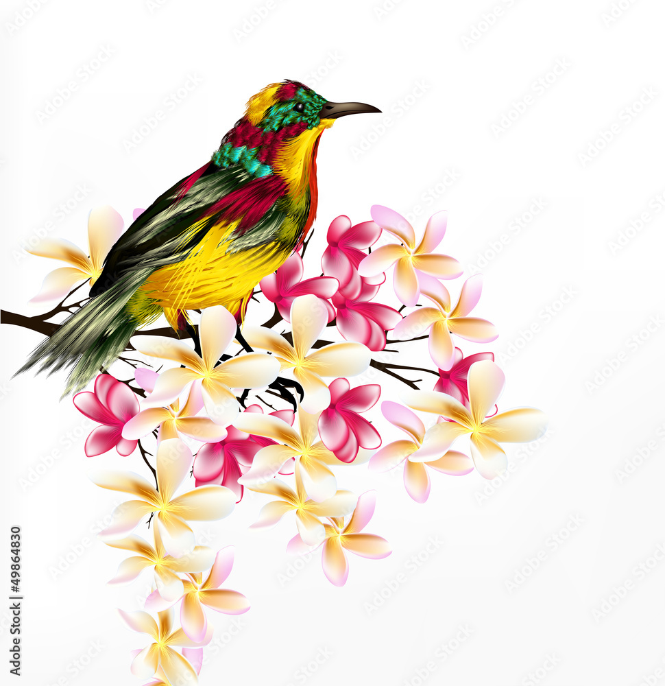 Obraz premium Colorful vector realistic tropical bird sit a branch on white