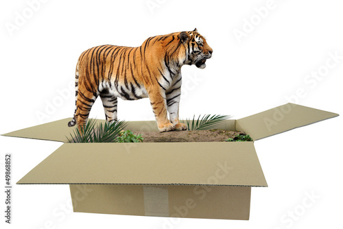 Fototapeta Naklejka Na Ścianę i Meble -  Zoo 179