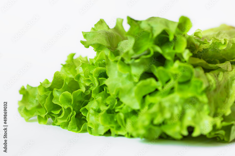 Lettuce isolated on white Lettuce isolated on white