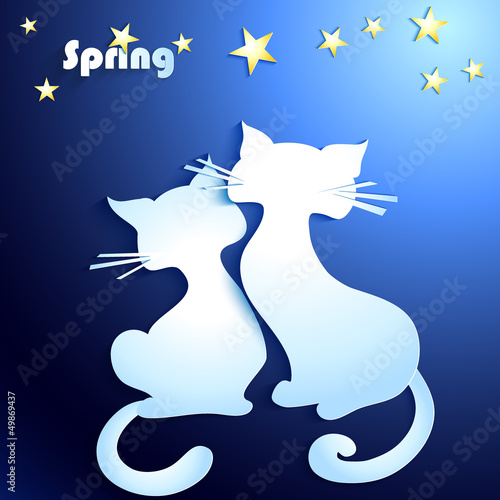 Happy cats in love