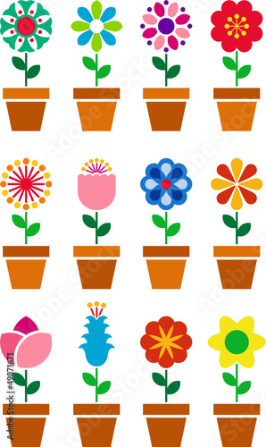 Set of flowers in a pot