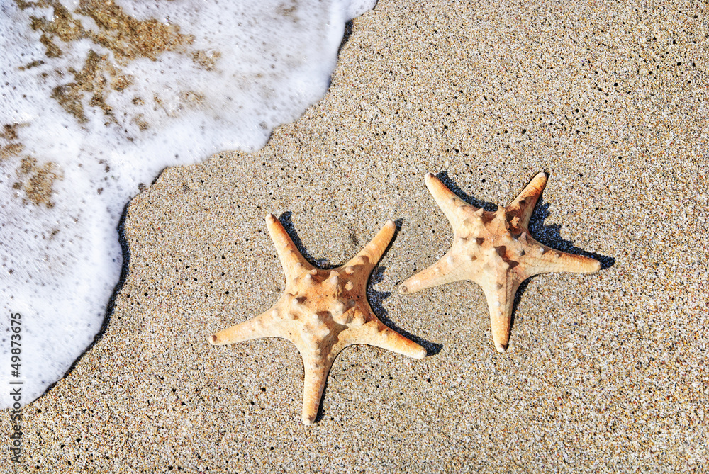 two sea-stars on sand beach with waves background two sea-stars on sand beach with waves background