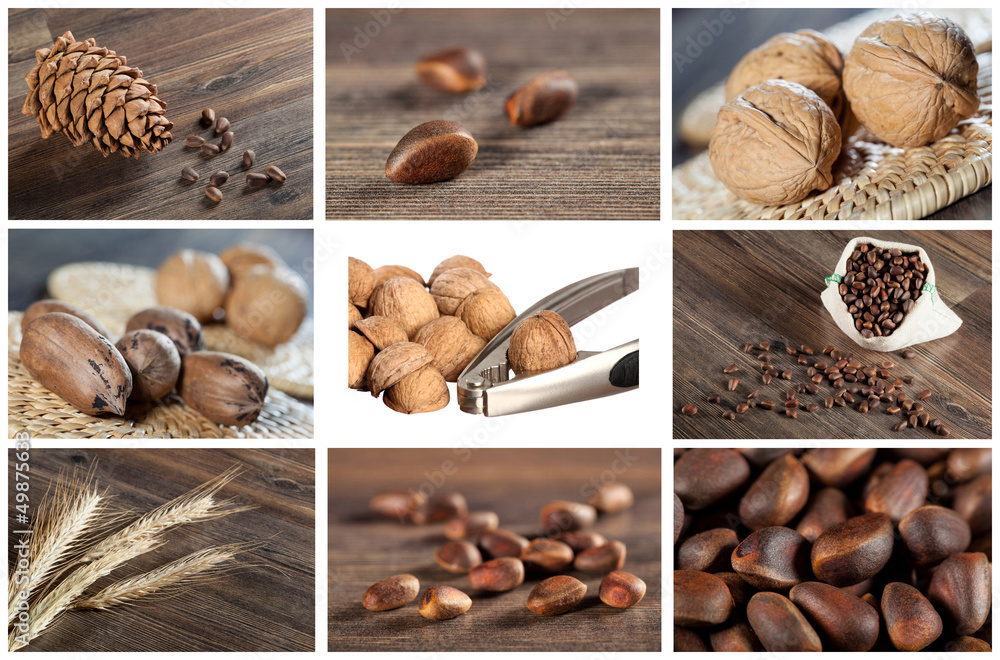 Fototapeta premium Collection of nut and seed images