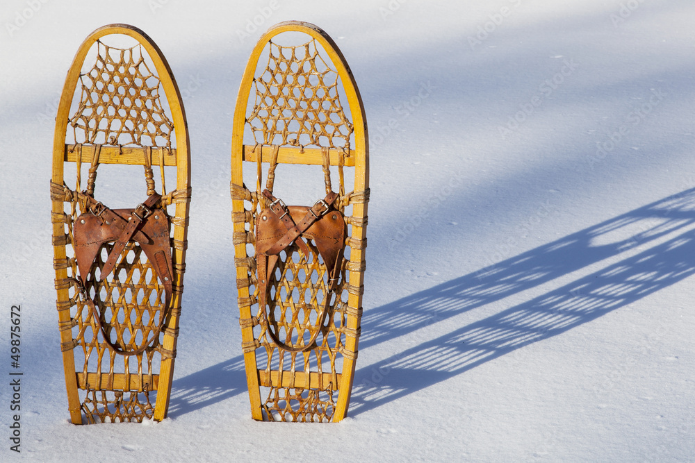 Bear Paw snowshoes Stock Photo Adobe Stock