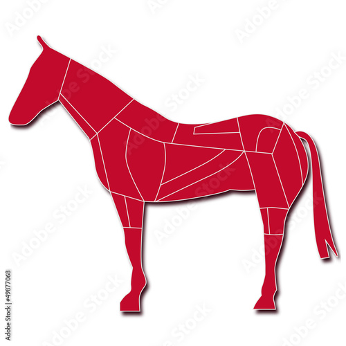carne di cavallo