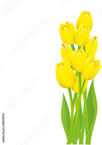 A bunch of lovely bright yellow spring tulips