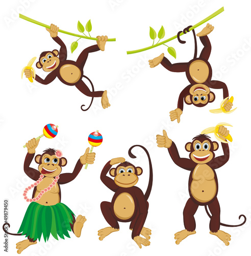 Set funny monkeys #49879450
