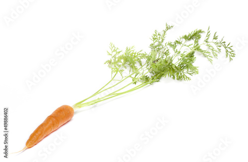 one carrots