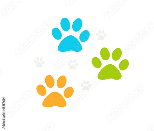 Huellas de mascotas en varios colores