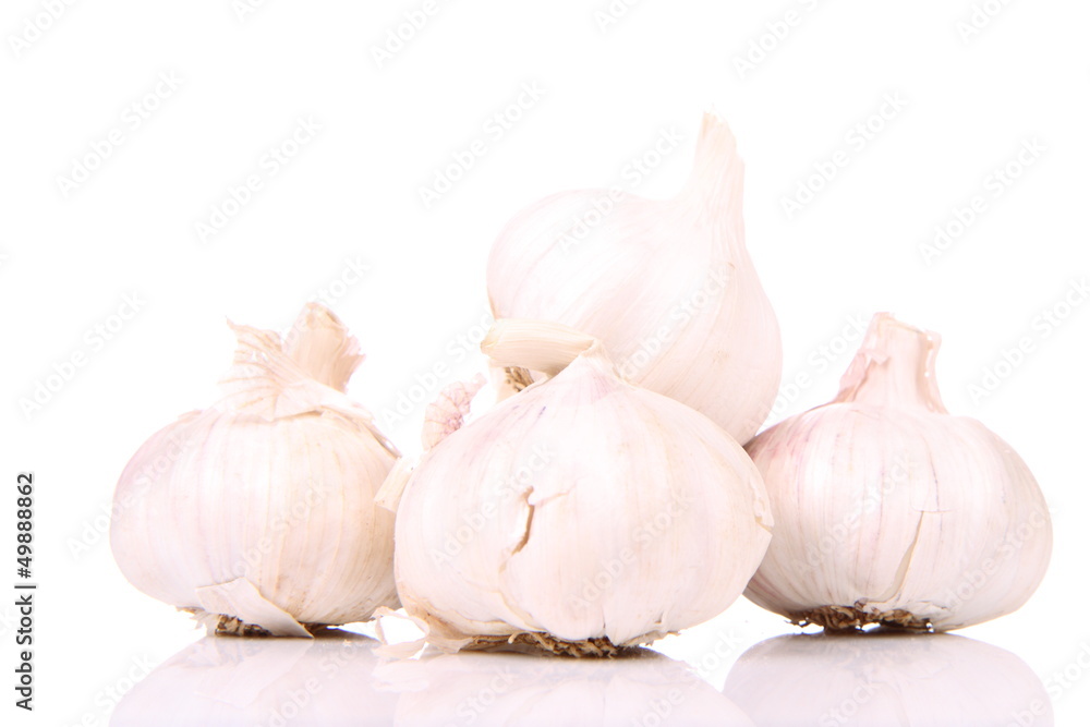 Bunch of garlic on a white background Bunch of garlic on a white background