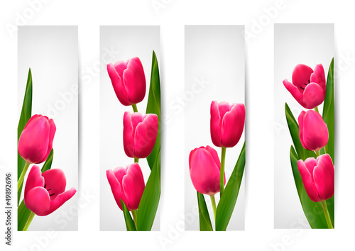 Fototapeta Naklejka Na Ścianę i Meble -  Set of banners with pink flower.Vector
