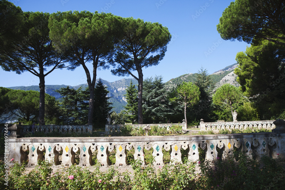 Trees in a garden, Amalfi, Province Of Salerno, Campania, Italy