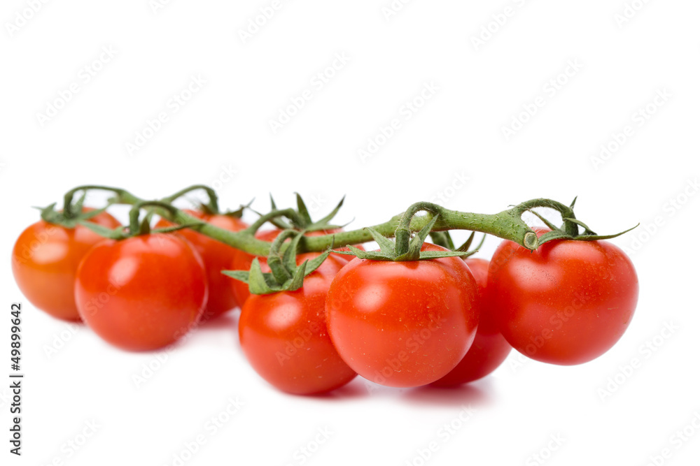 red tomatoes