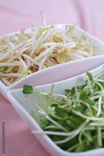 Fresh sunflower and mung beans sprouts