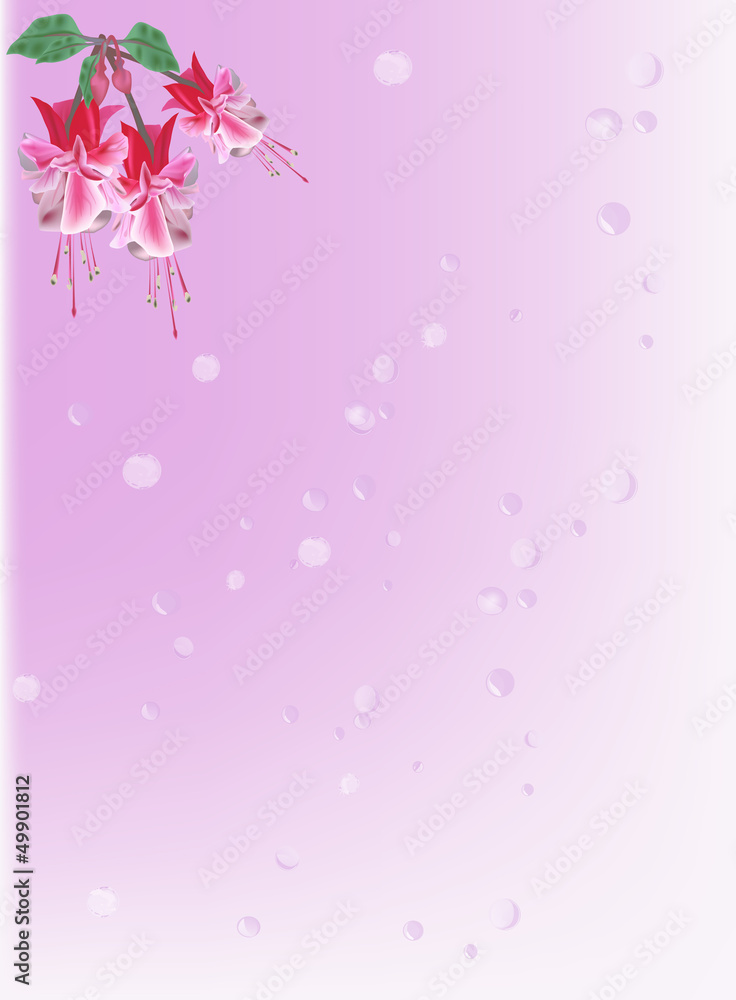 pink background with three small pink flowers pink background with three small pink flowers