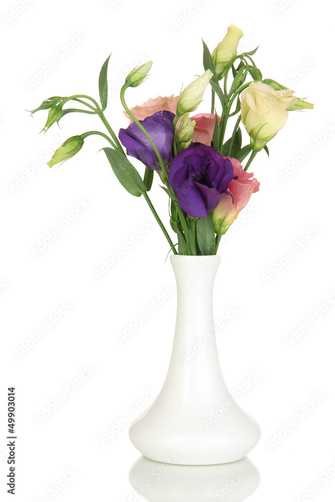 Bouquet of eustoma flowers in vase isolated on white Bouquet of eustoma flowers in vase isolated on white