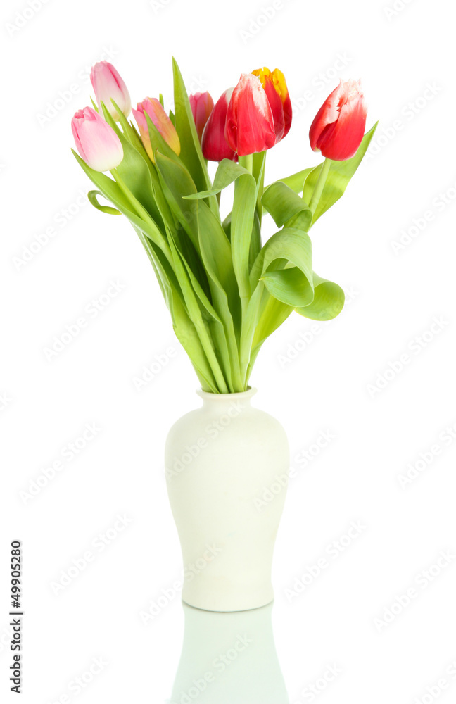 Beautiful tulips in bucket isolated on white Beautiful tulips in bucket isolated on white