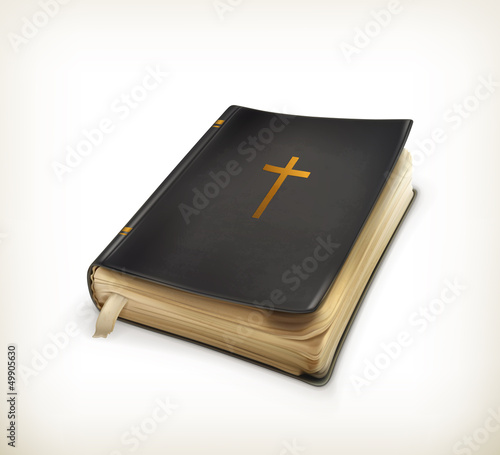 Canvas-taulu Bible