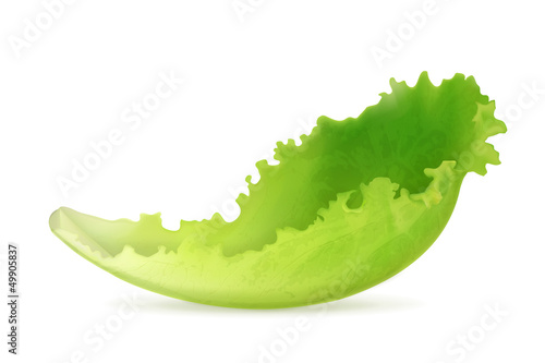 Lettuce