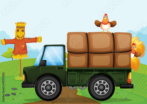 A chicken and the scarecrow