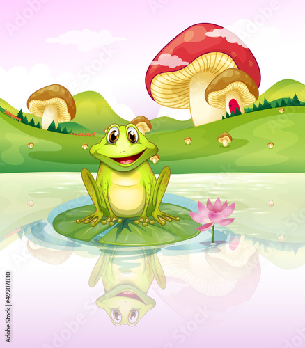 A frog watching his reflection from the water